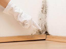 Best Residential Mold Inspection & Testing  in Tunnel Hill, GA